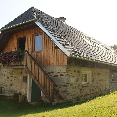 Urlaub Am Zechnerhof Lägenhet Straßburg in Kärnten Exteriör bild
