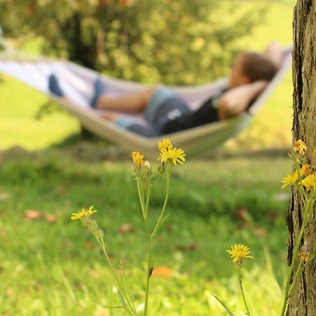 Urlaub Am Zechnerhof Lägenhet Straßburg in Kärnten Exteriör bild