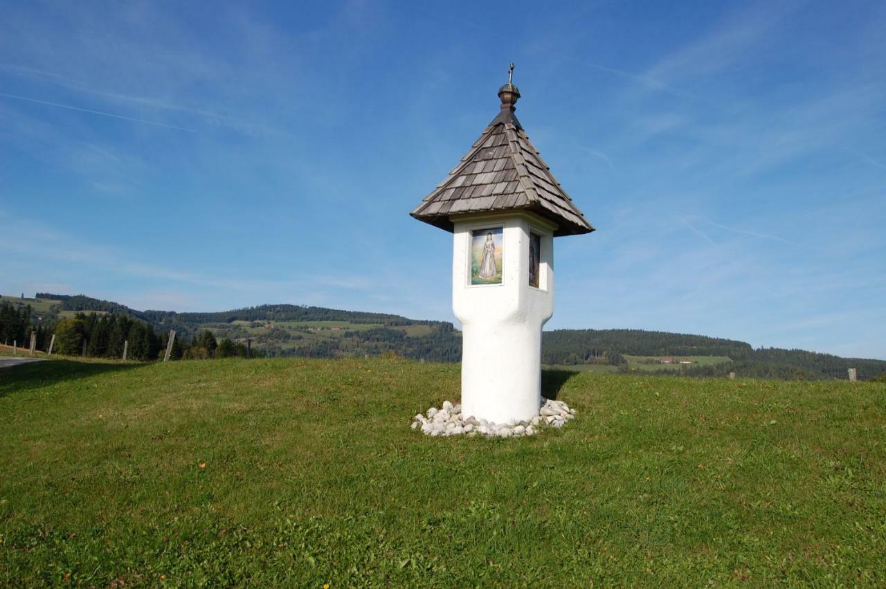 Urlaub Am Zechnerhof Lägenhet Straßburg in Kärnten Exteriör bild